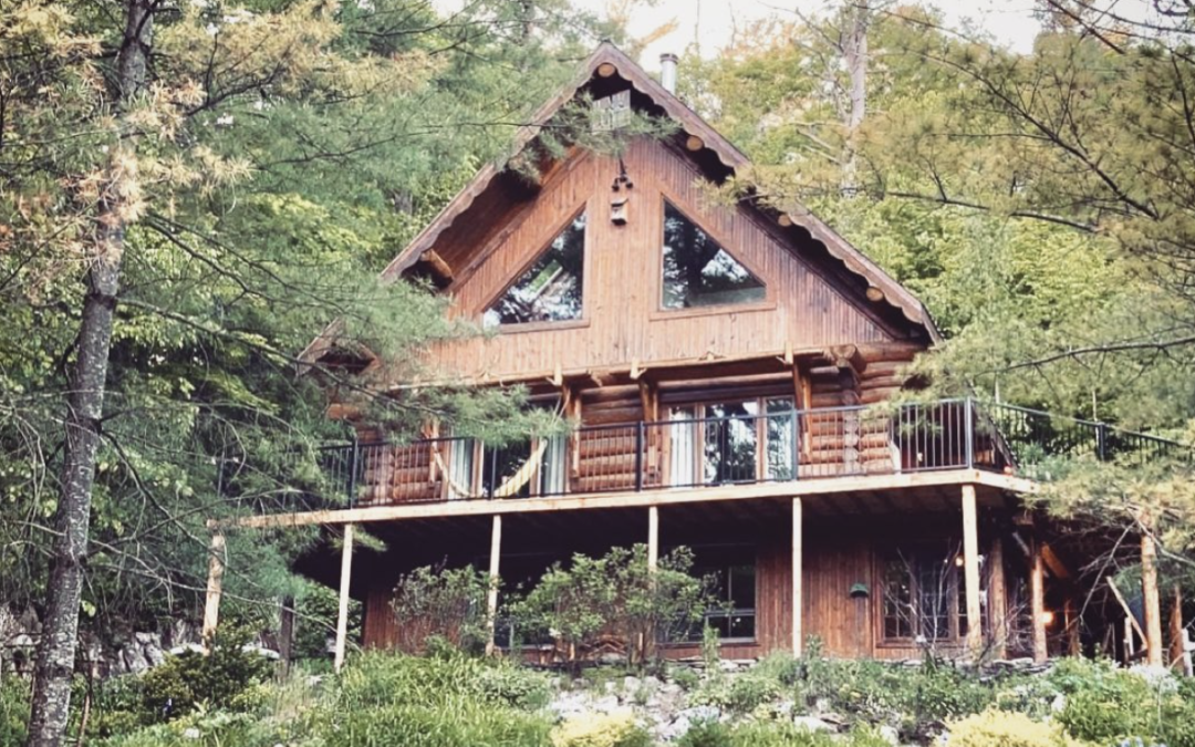 Image of log house in forest